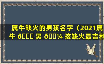 属牛缺火的男孩名字（2021属牛 🐈 男 🐼 孩缺火最吉利的名字）